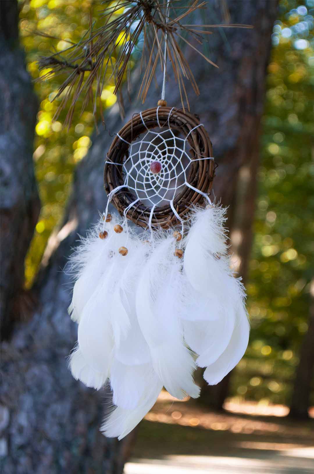 sapnų gaudyklės nuotrauka