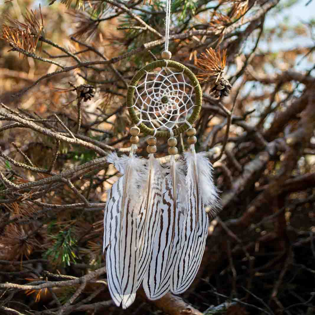 Sapnu gaudyklės nuotrauka